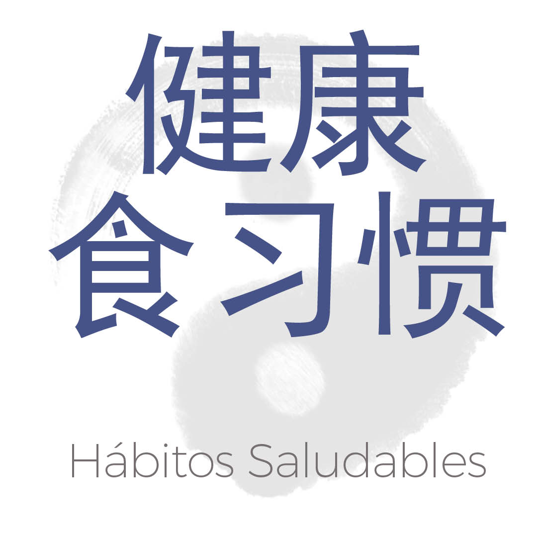 Blog Camino Holistico317