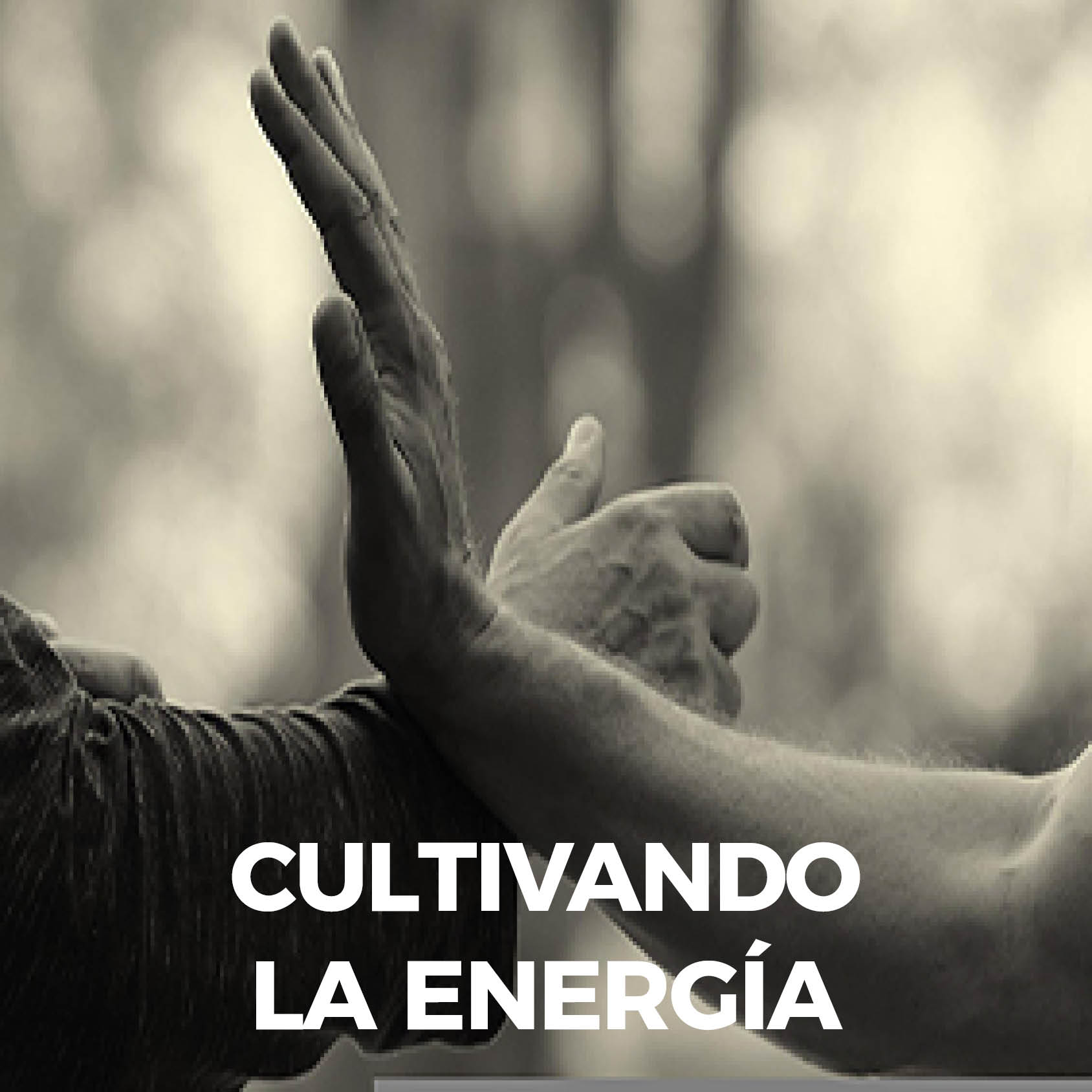 2023.03.19 Cultivando la Energia