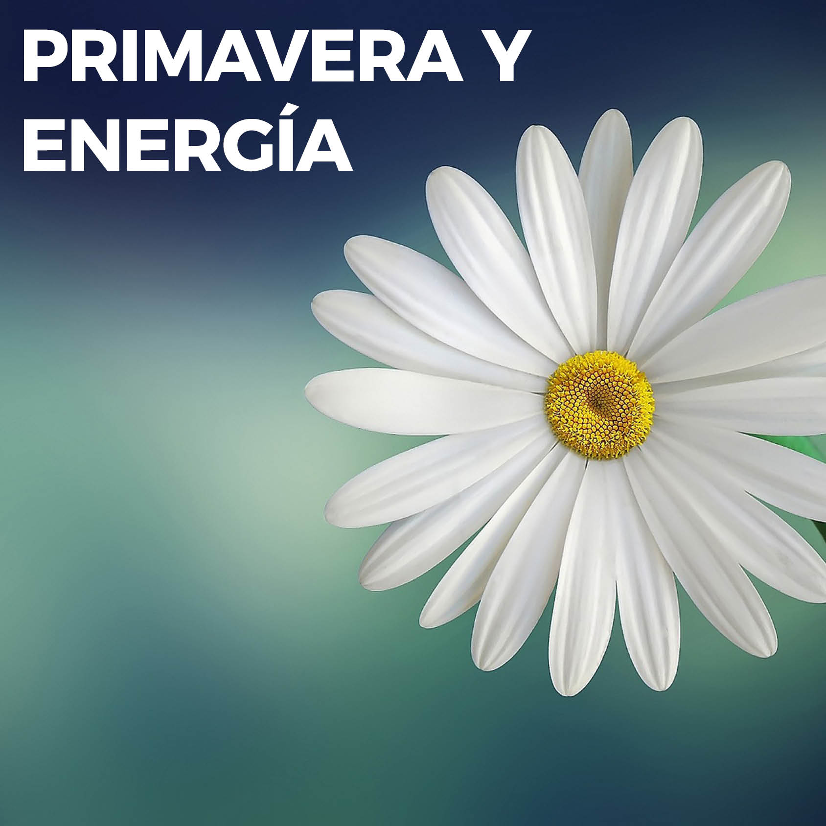 2023.03.26 Primavera y Energias