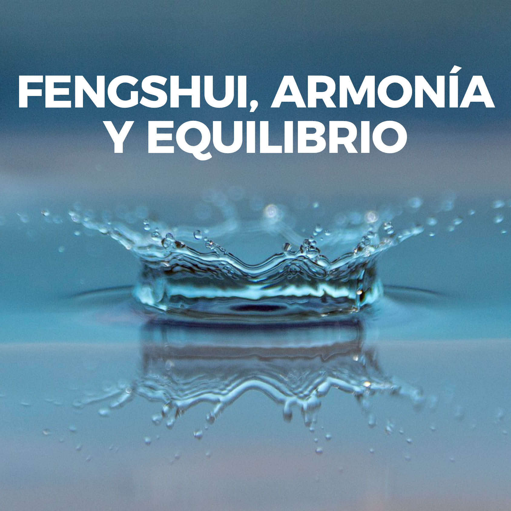 CURSOS8