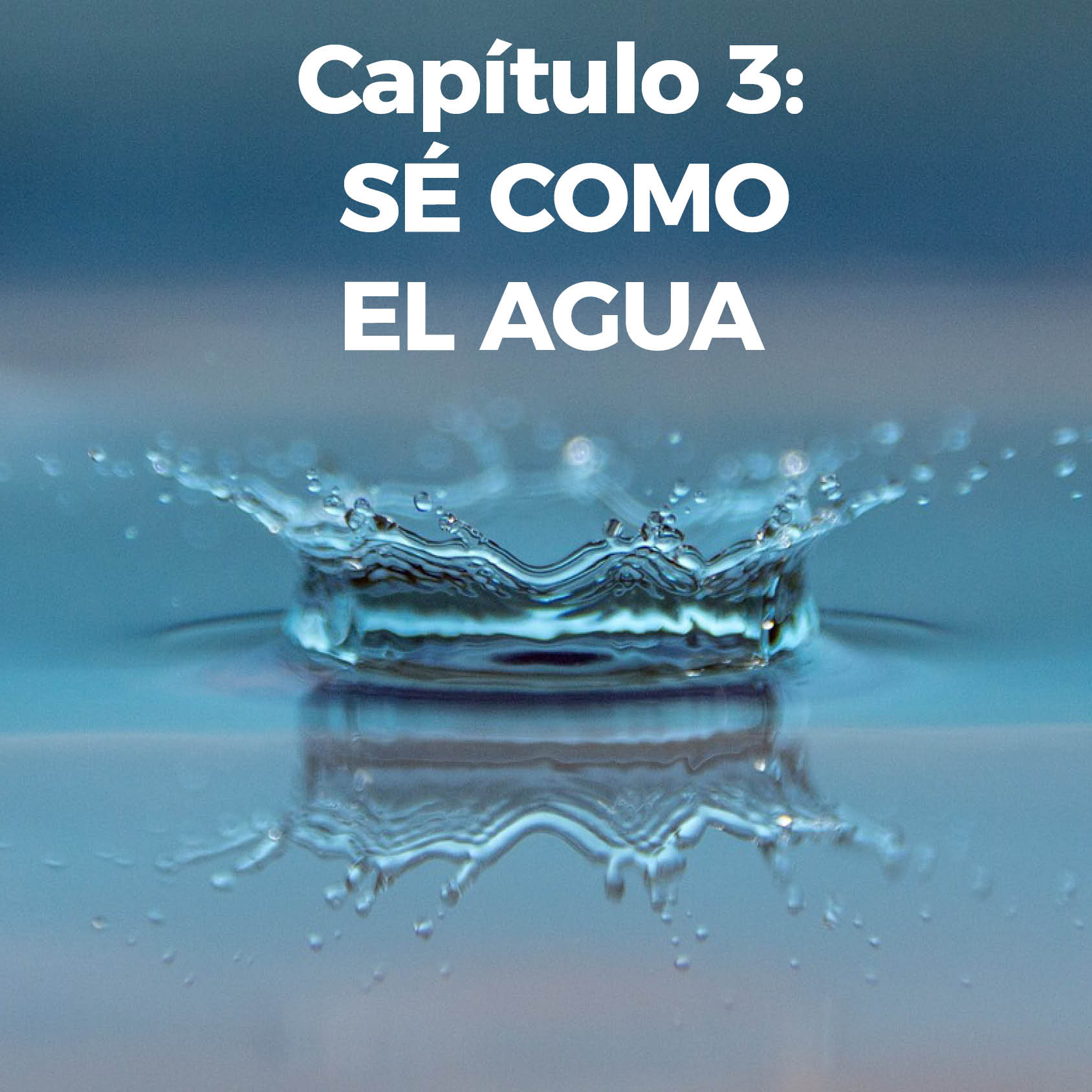 Capitulo 3 1
