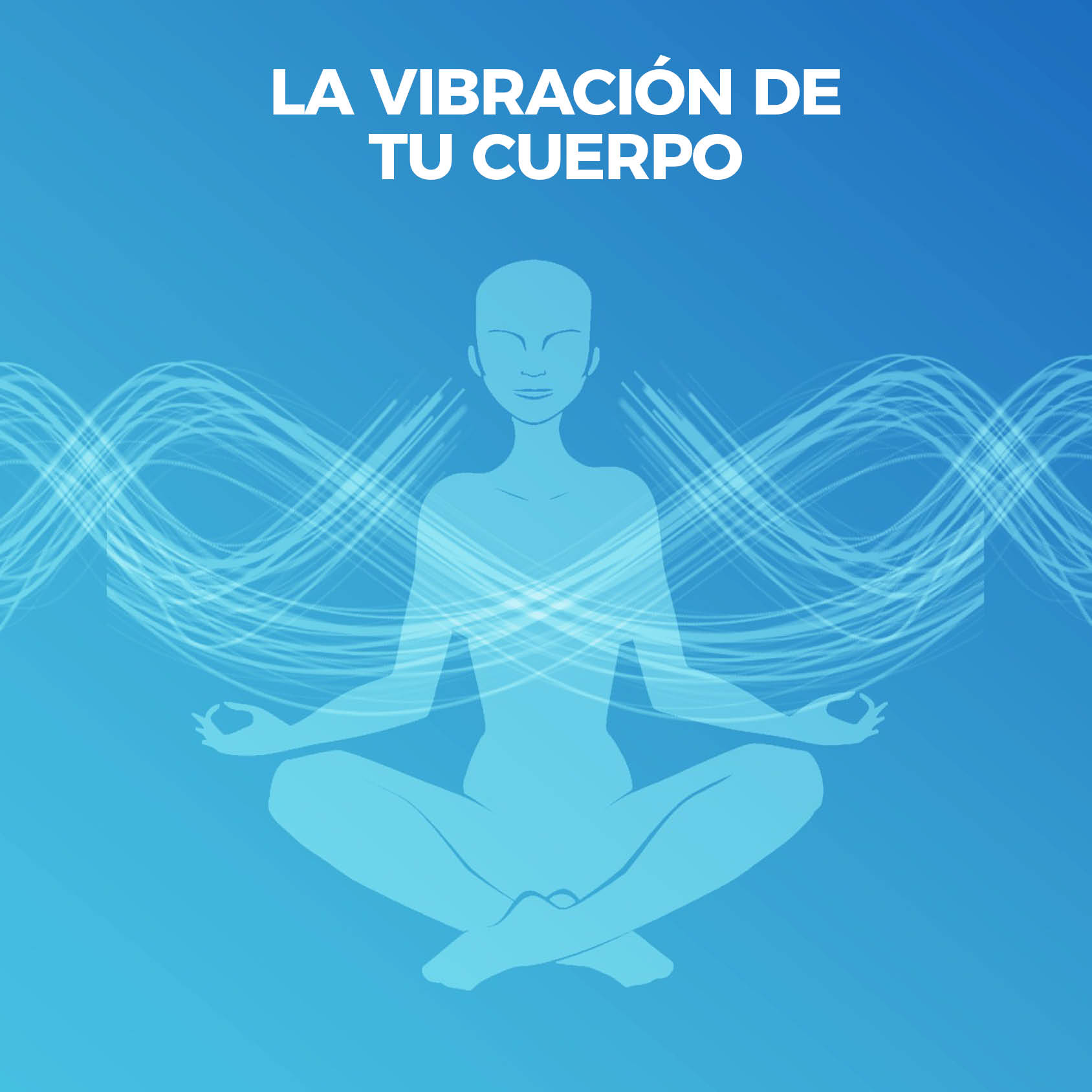 Imagen 0