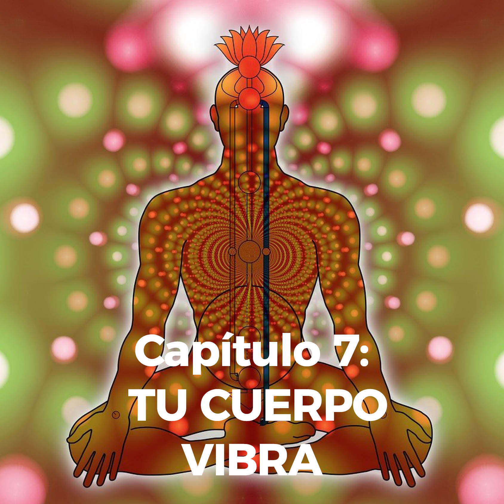 Capitulo 7