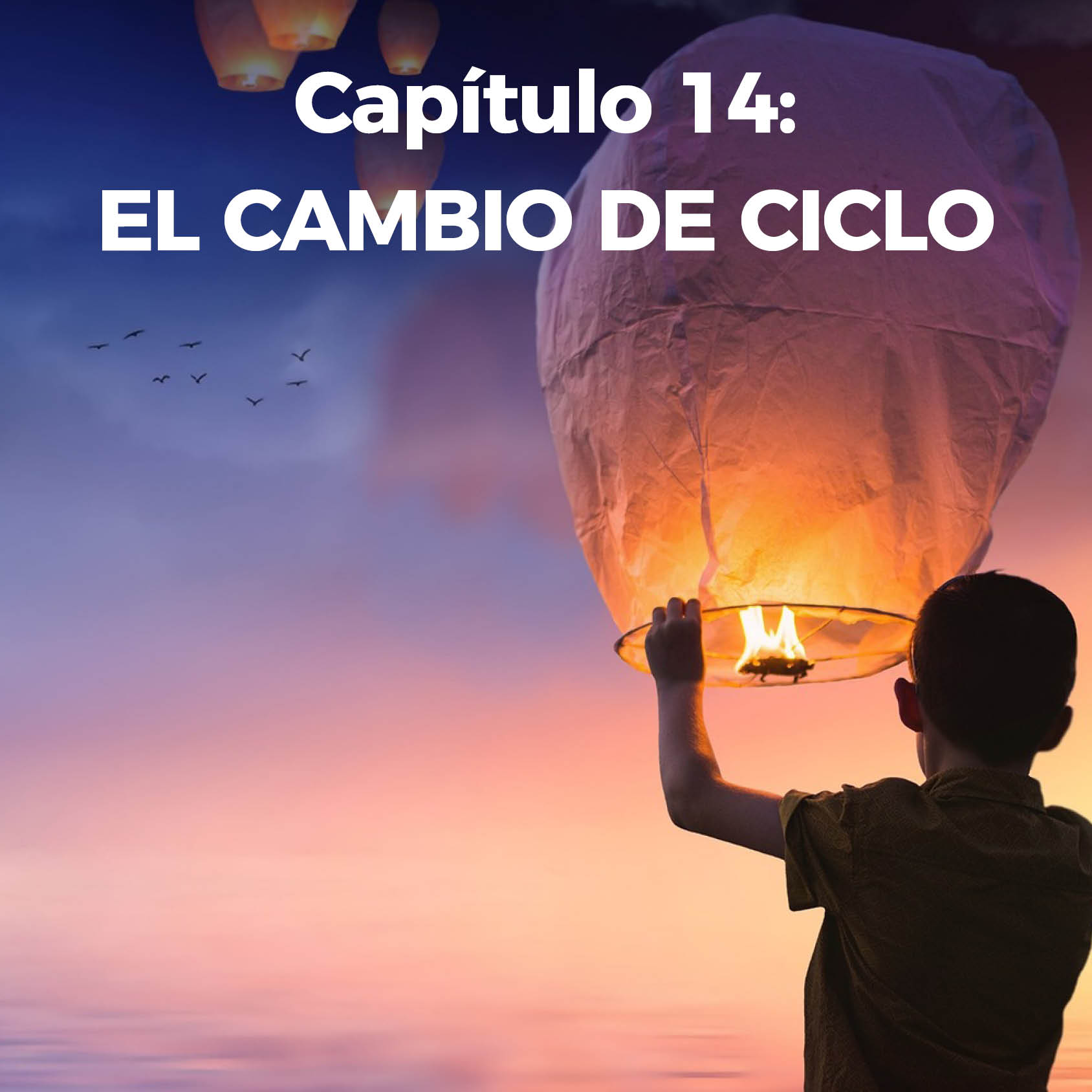 Capitulo 14