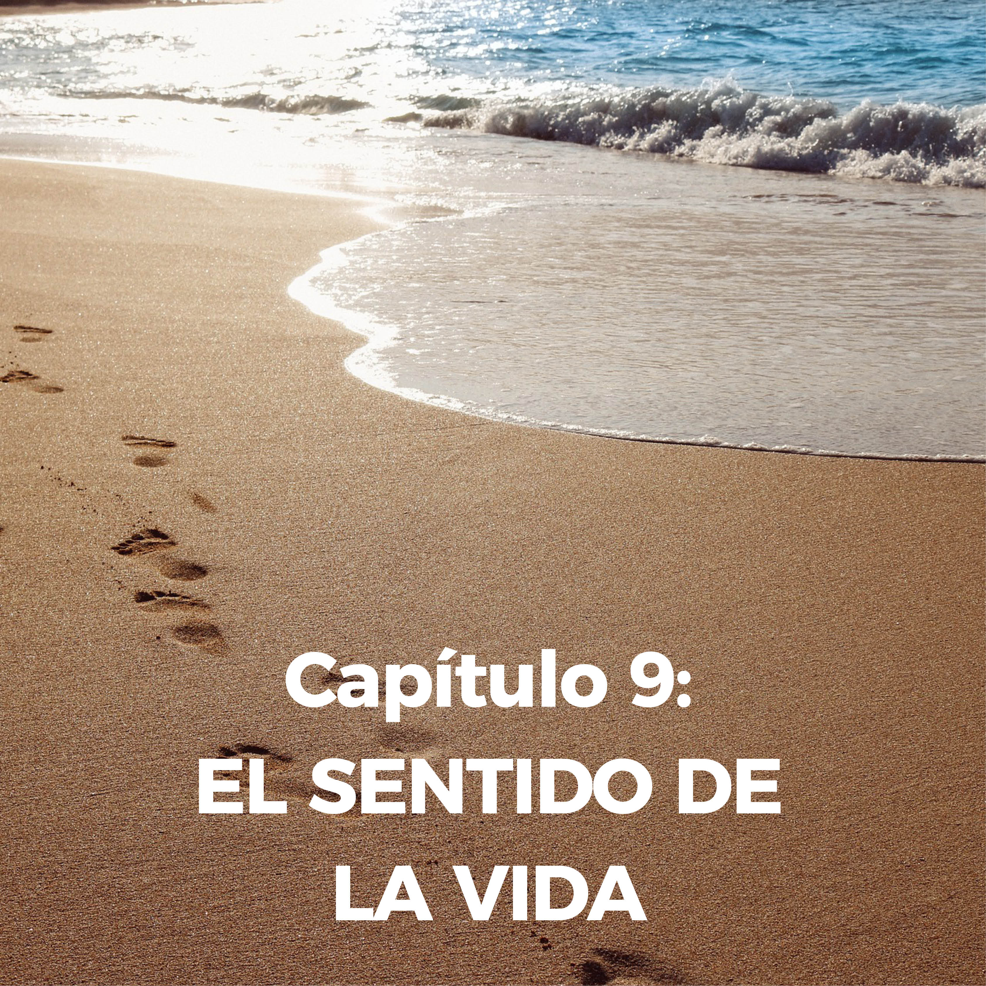 Capitulo 9