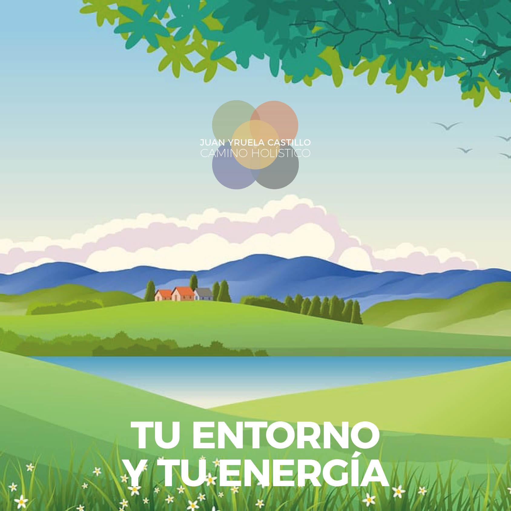 Tu Entorno y tu Energia