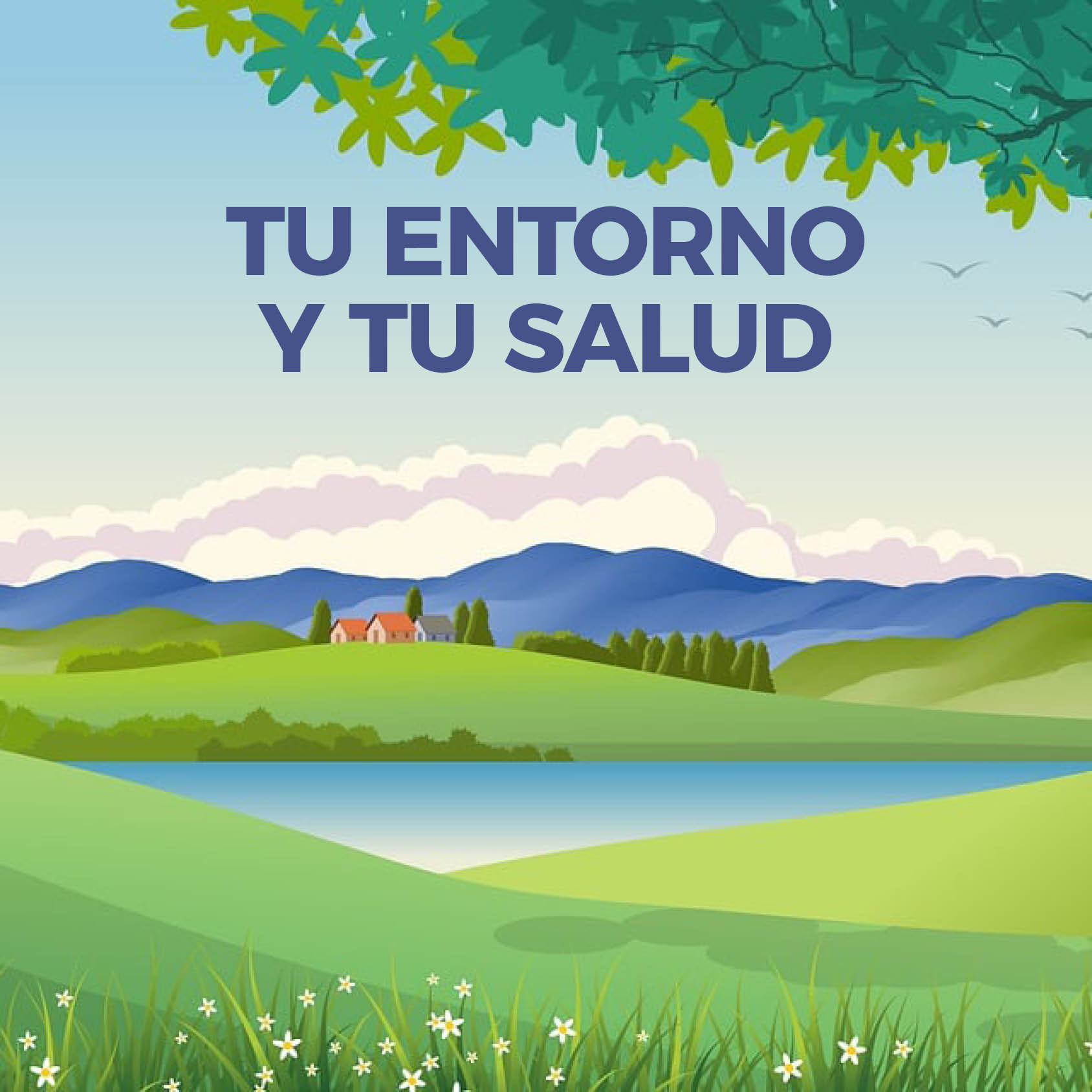 Imagen 0