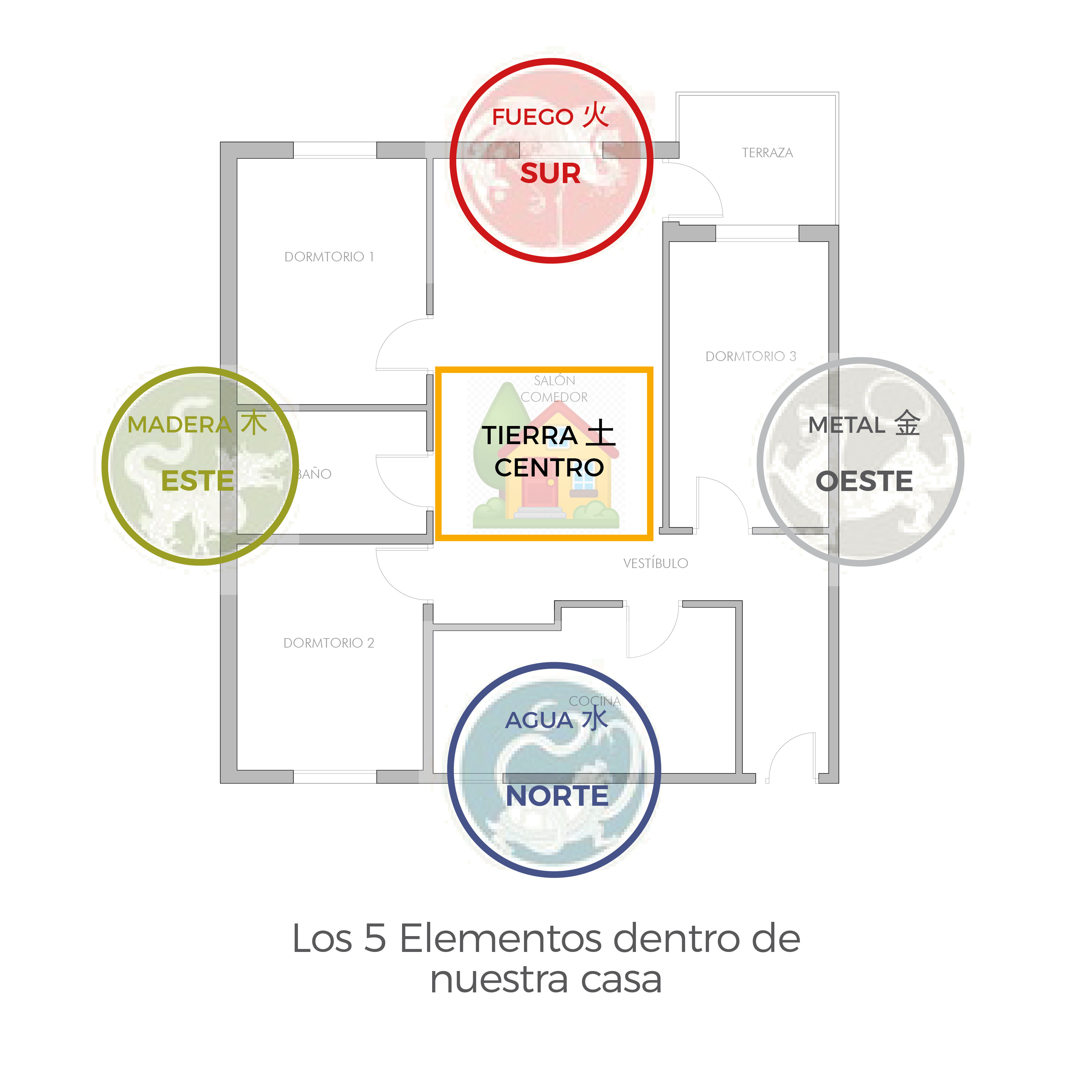 Imagen 5
