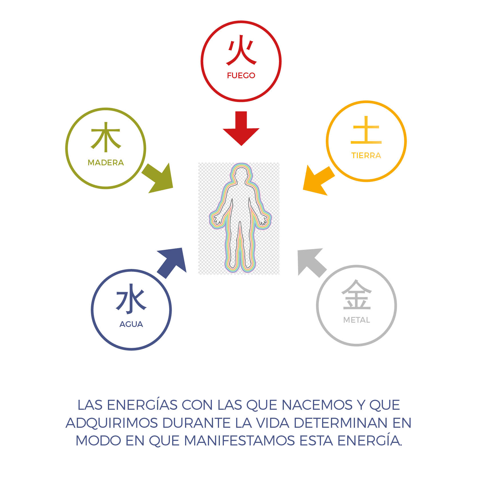 Imagen 8