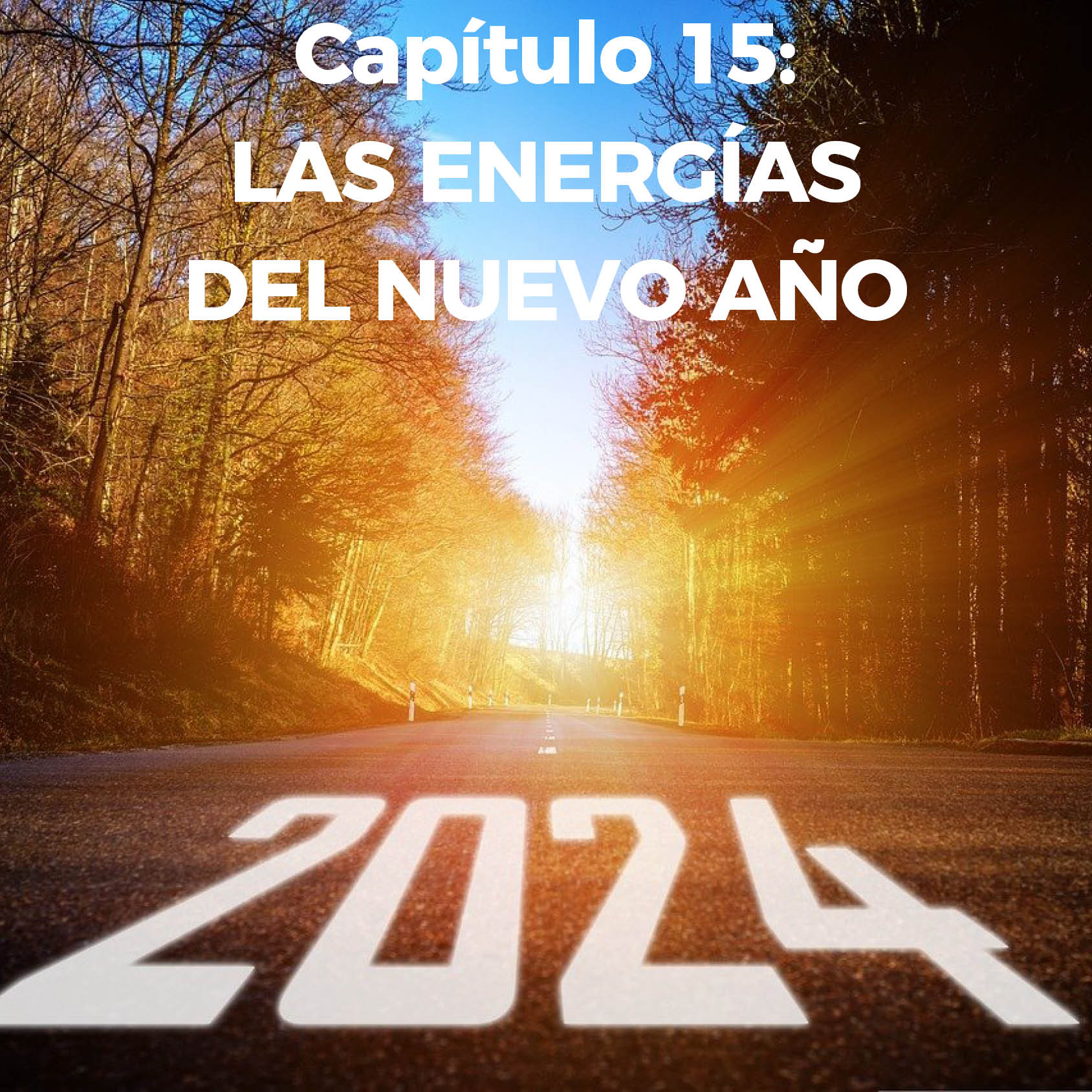 Capitulo 15