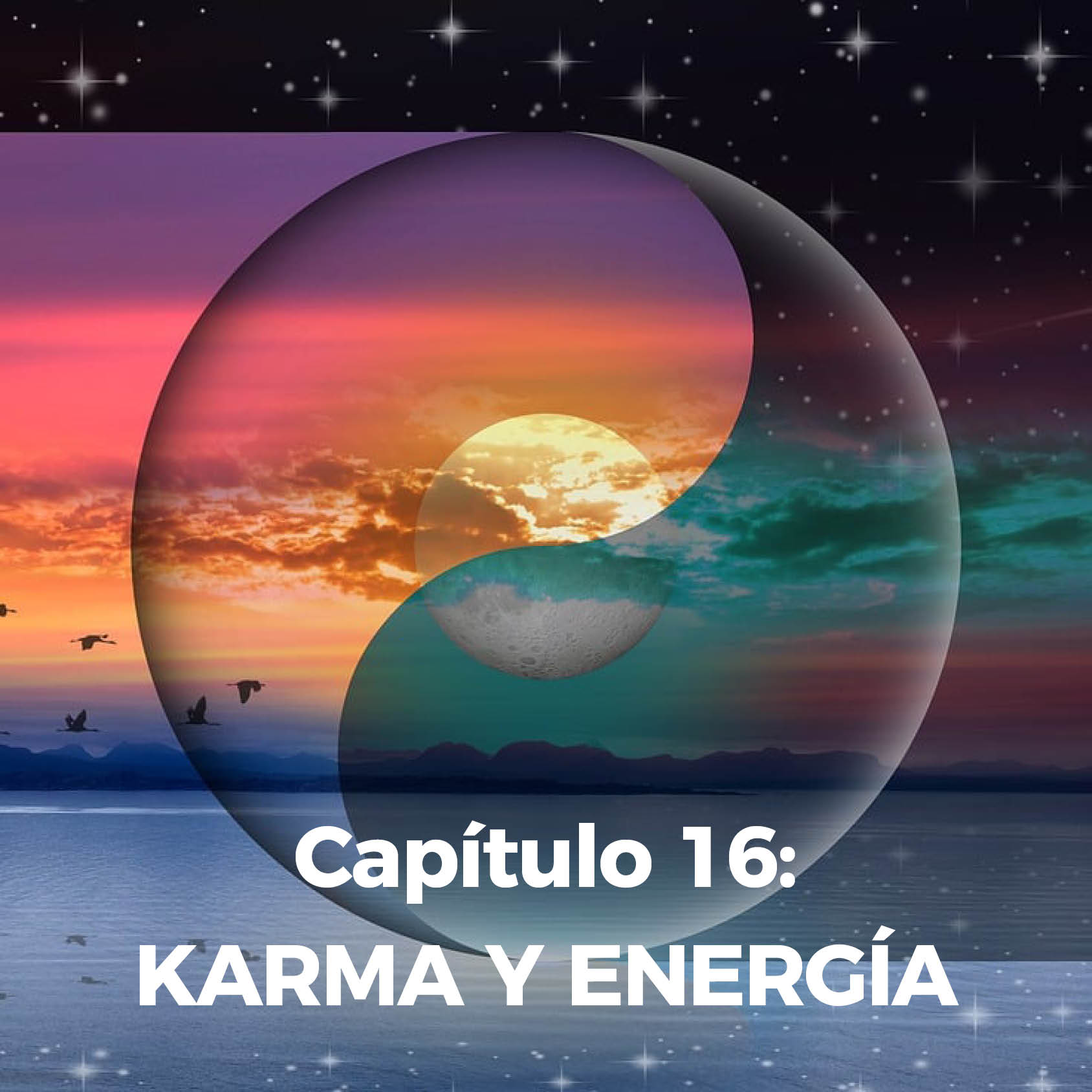 Capitulo 16