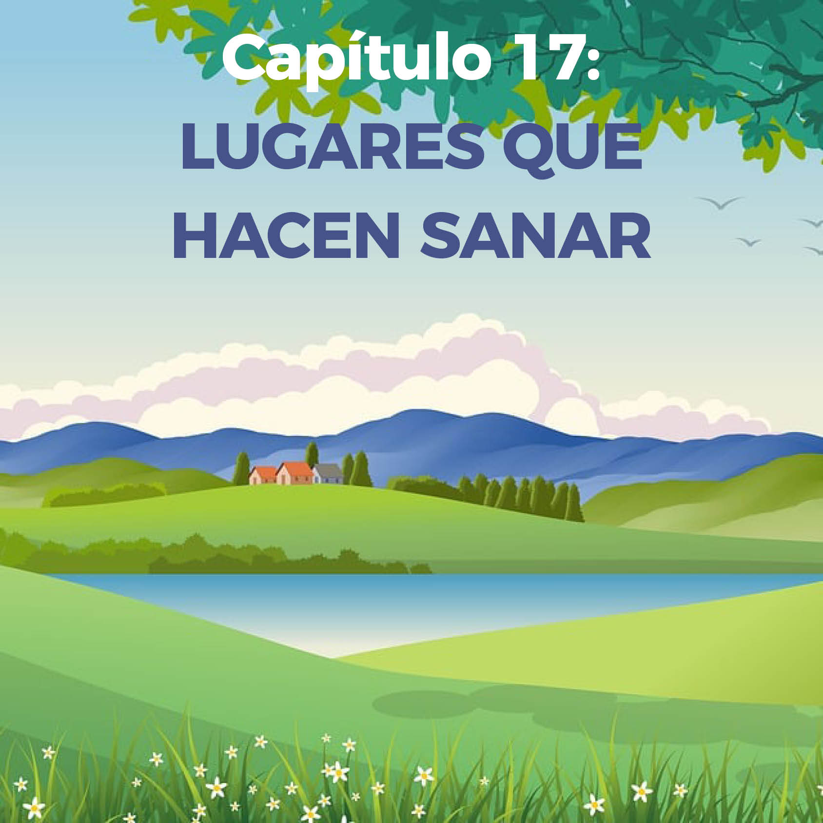 Capitulo 17