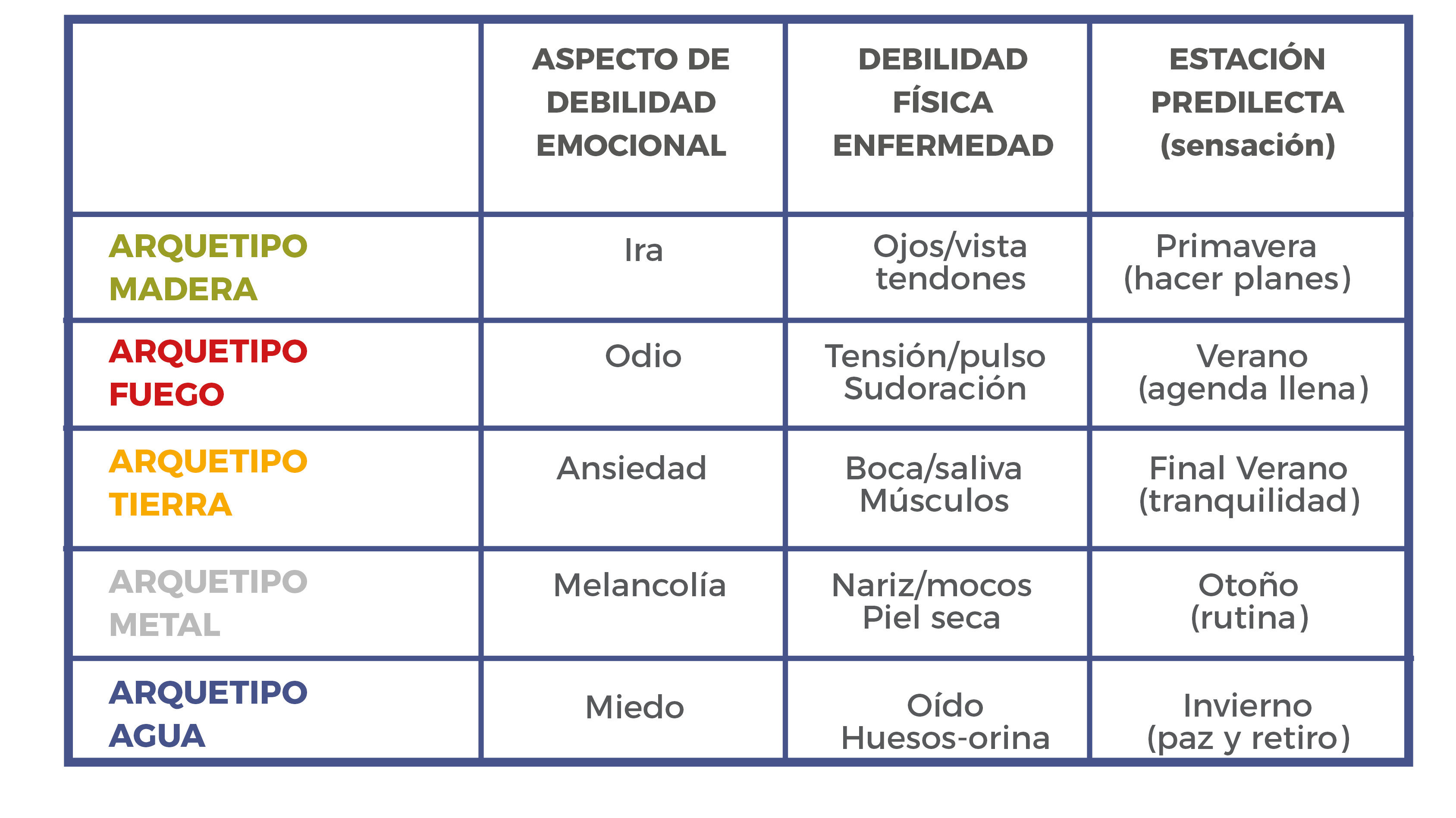 Imagen 5