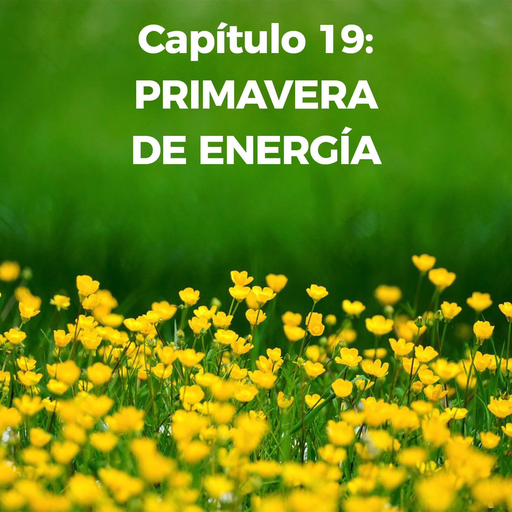 Capitulo 19