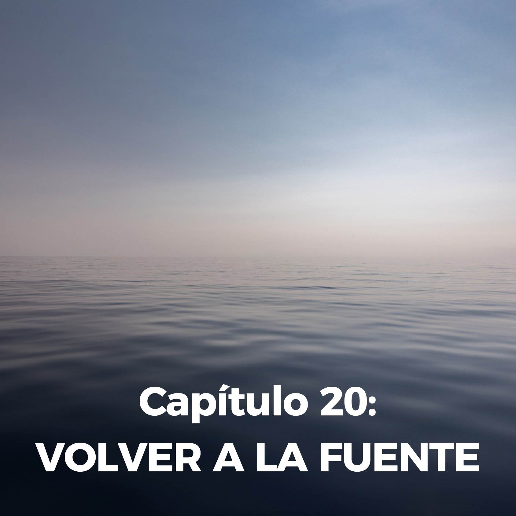 Capitulo 20