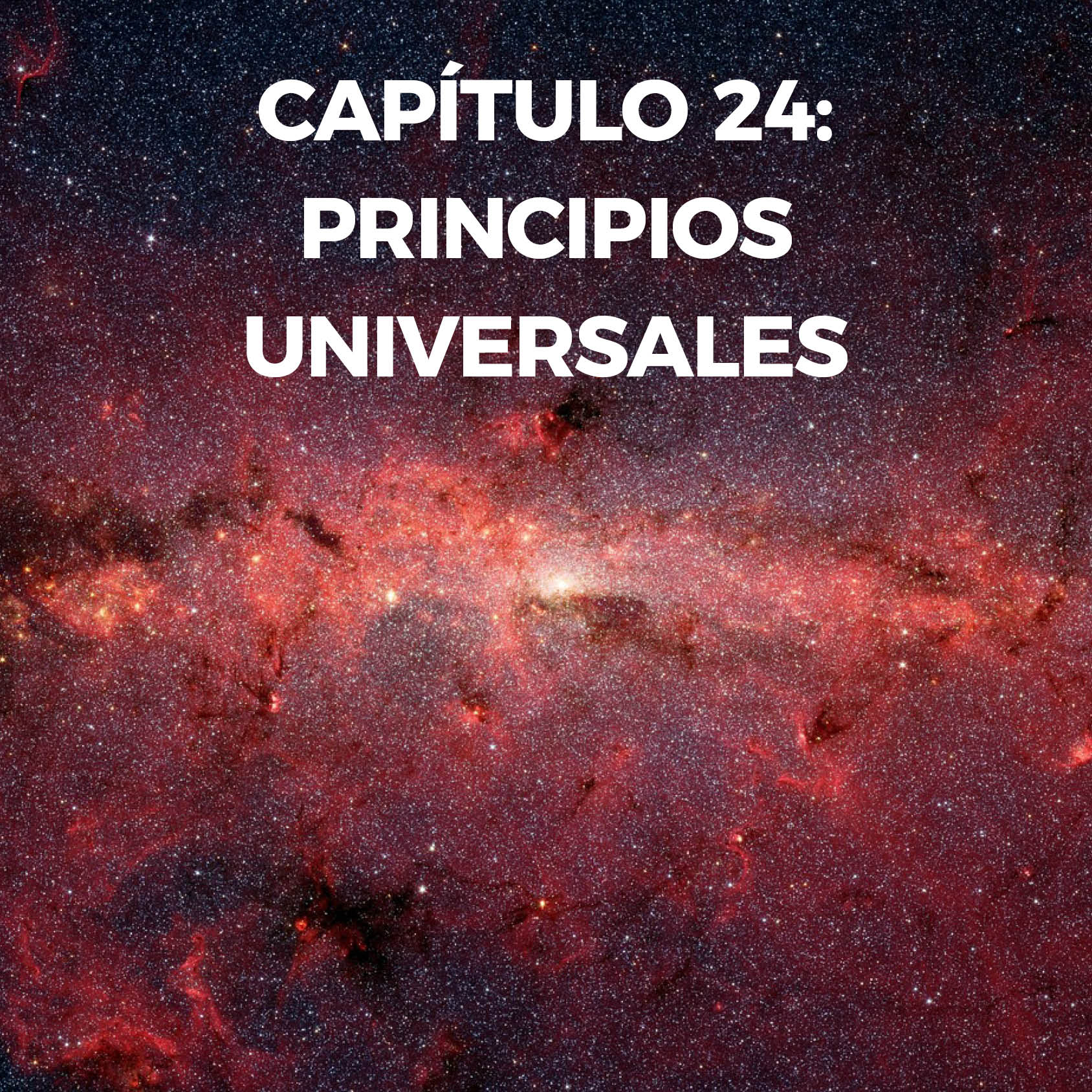 Capitulo 24