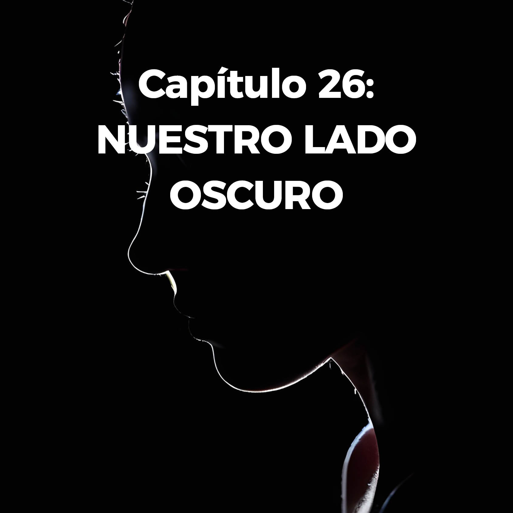 Capitulo 26