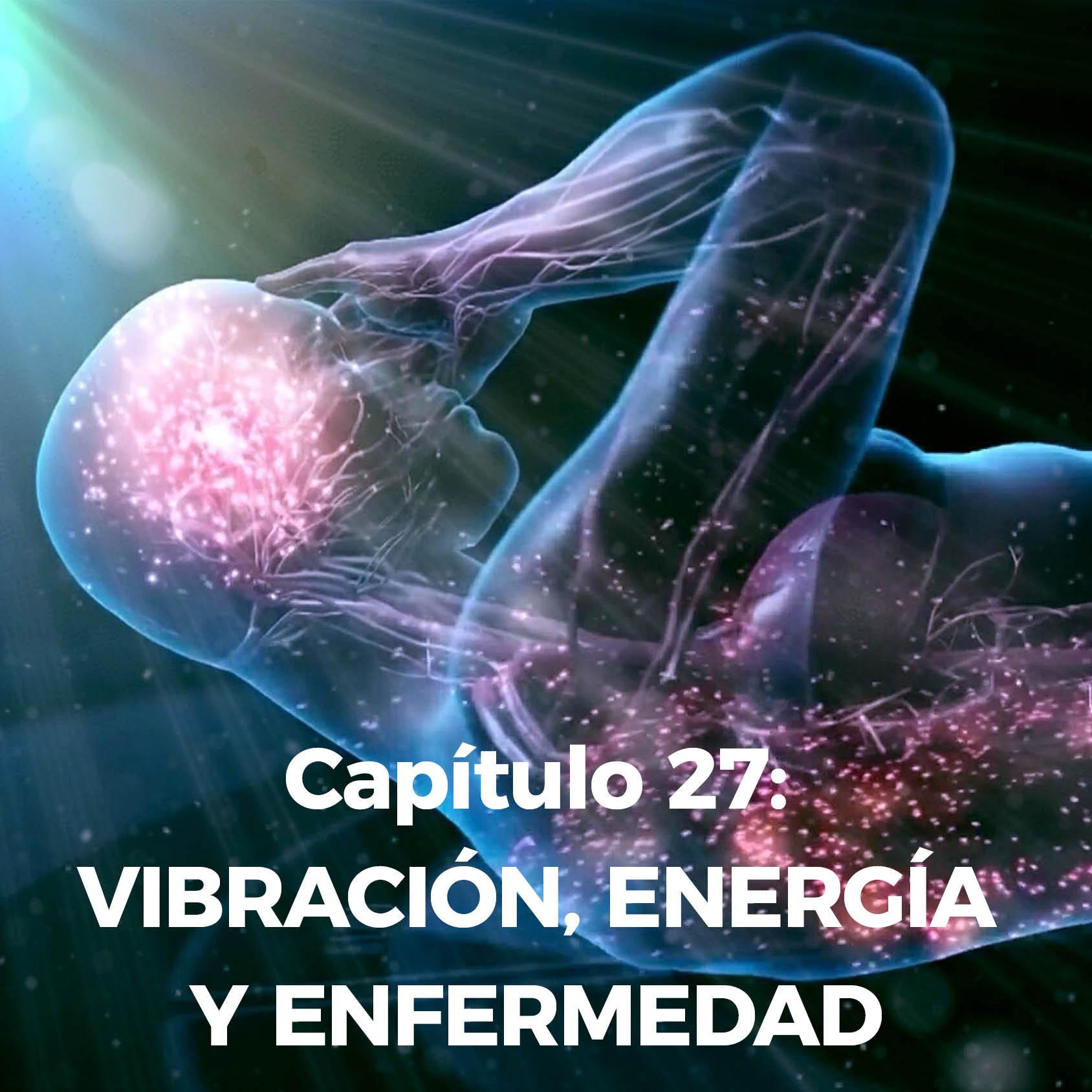 Capitulo 27
