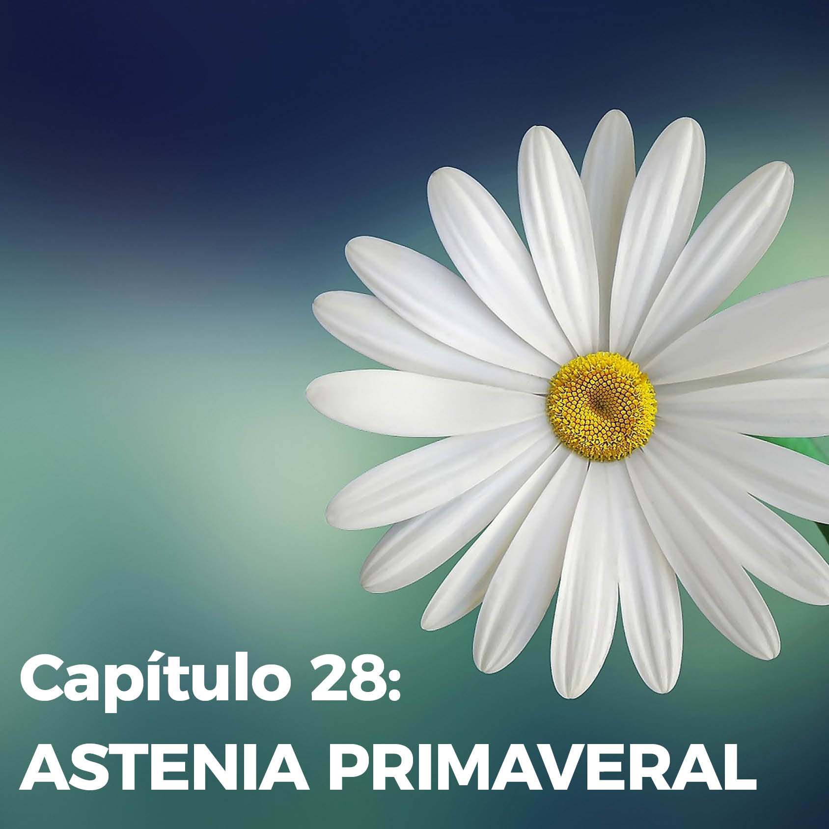 Capitulo 28
