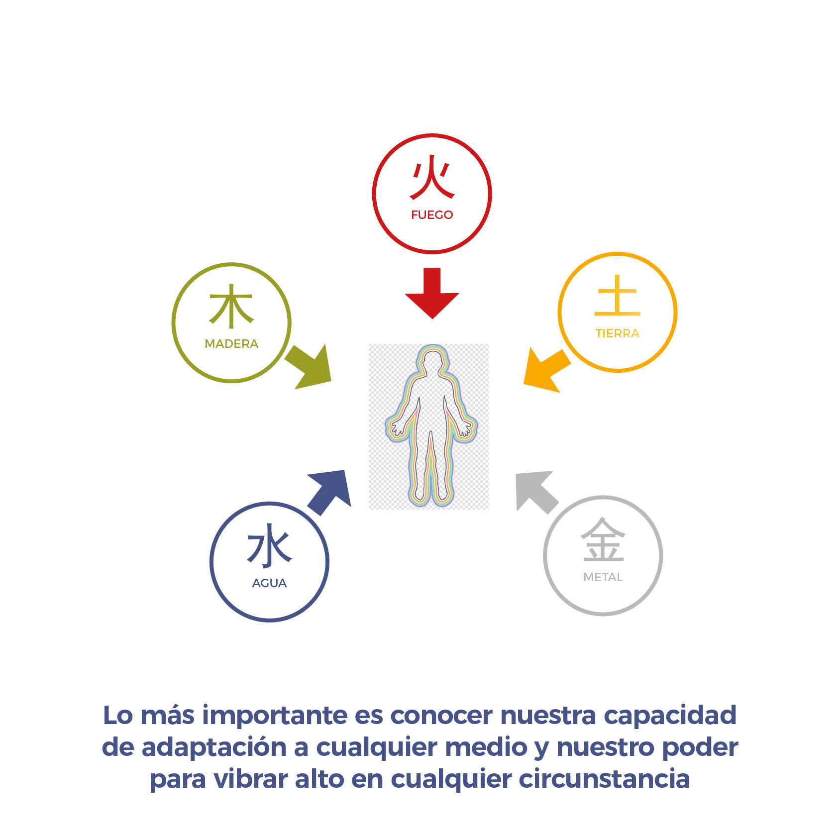 Imagen 11