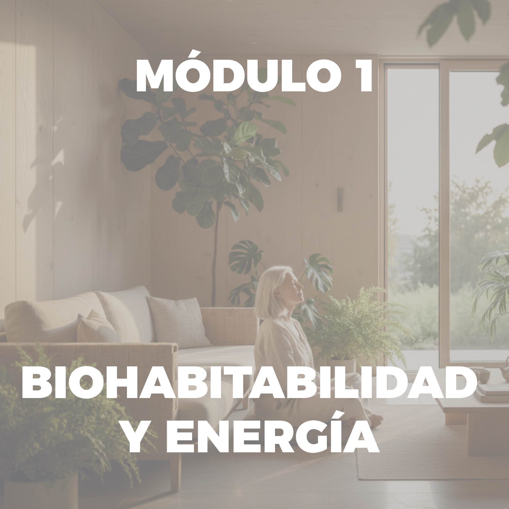 Portadas Modulos 1
