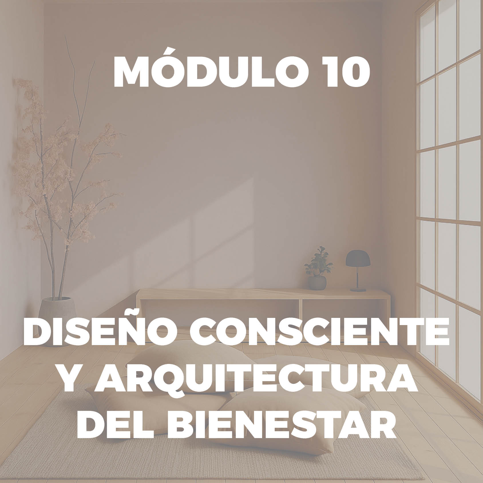 Portadas Modulos 11