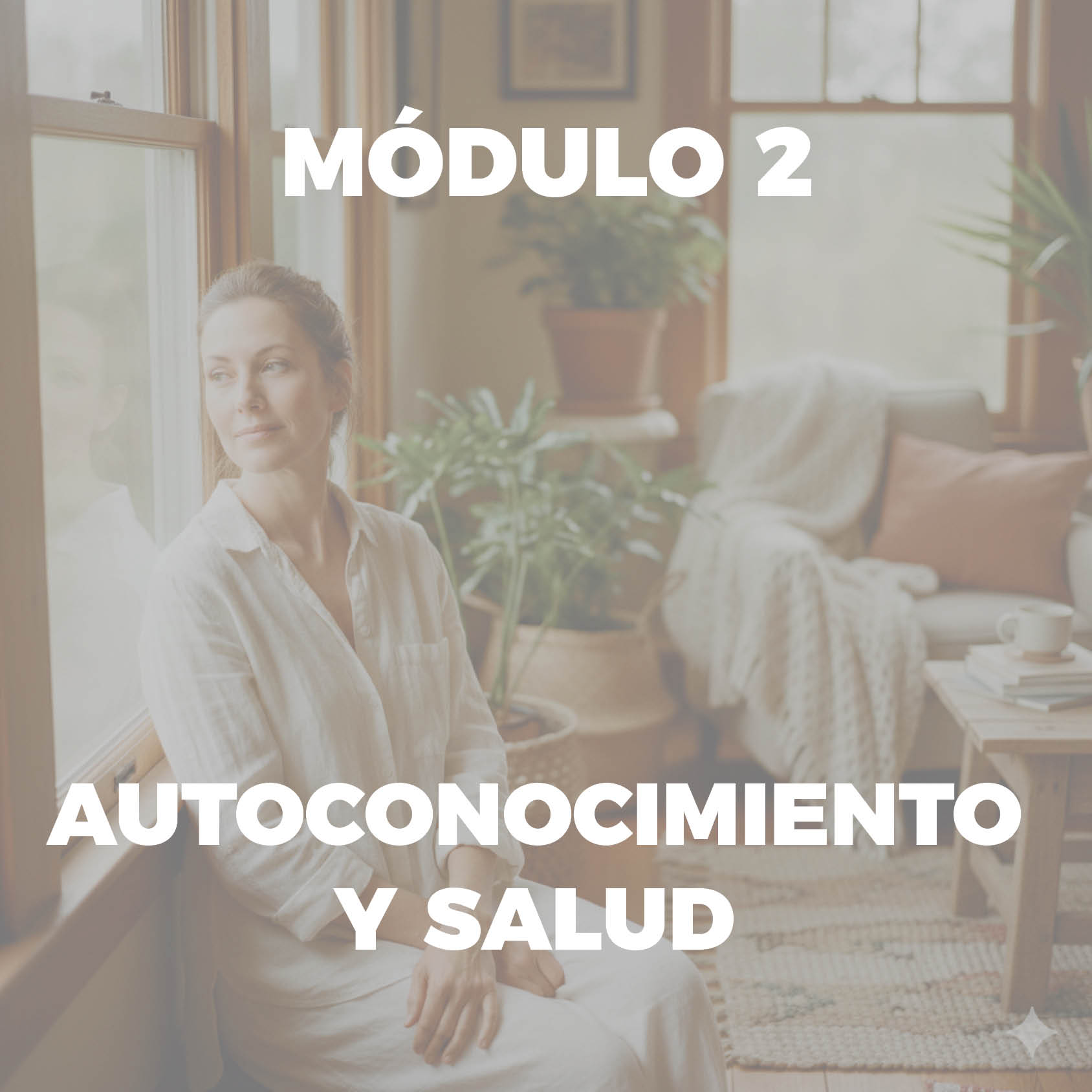 Portadas Modulos 2