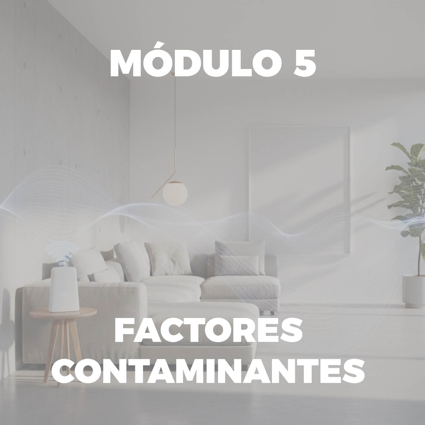 Portadas Modulos 5